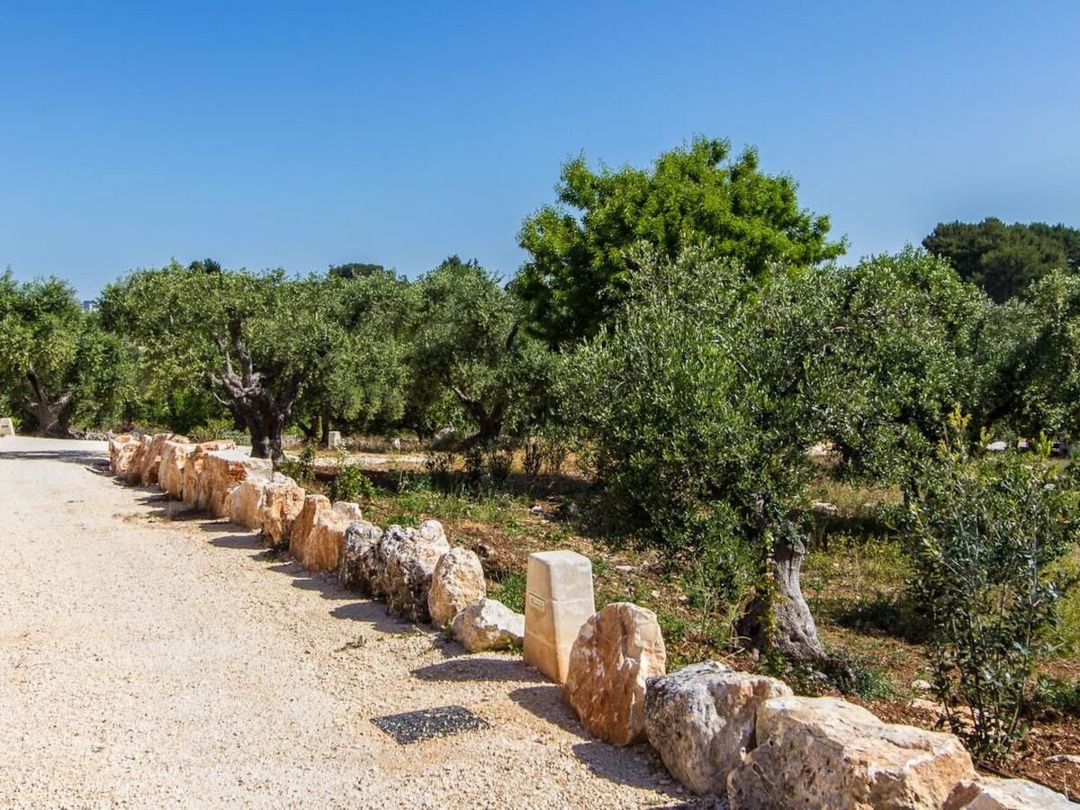 Appartement Fico à Martina Franca, vue panoramique - Photo 10