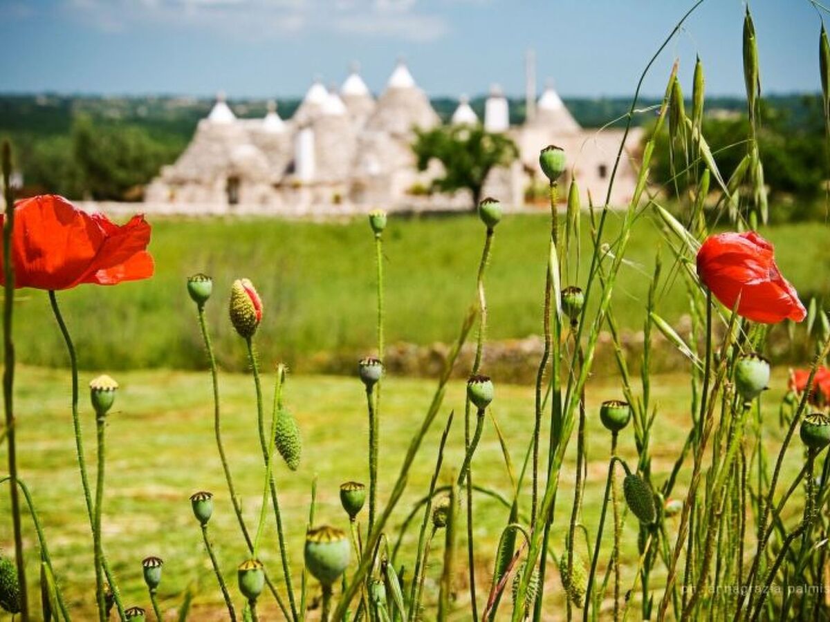 Trullo Kirschbaum à Martina Franca, piscine & jardin - Photo 19