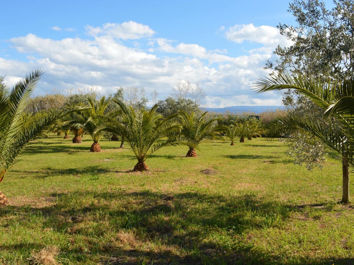Appartement 55m² entre lac et mer à Cagnano Varano - Photo 14