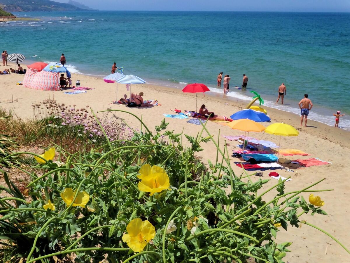 Studio 2 pers. Valledoria, 400 m plage - Photo 5