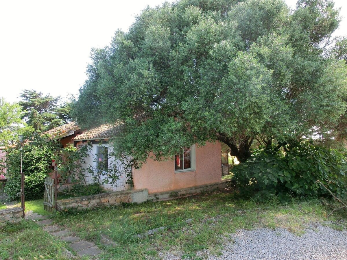 Maison 3 chambres avec piscine à Bassacutena - Photo 2