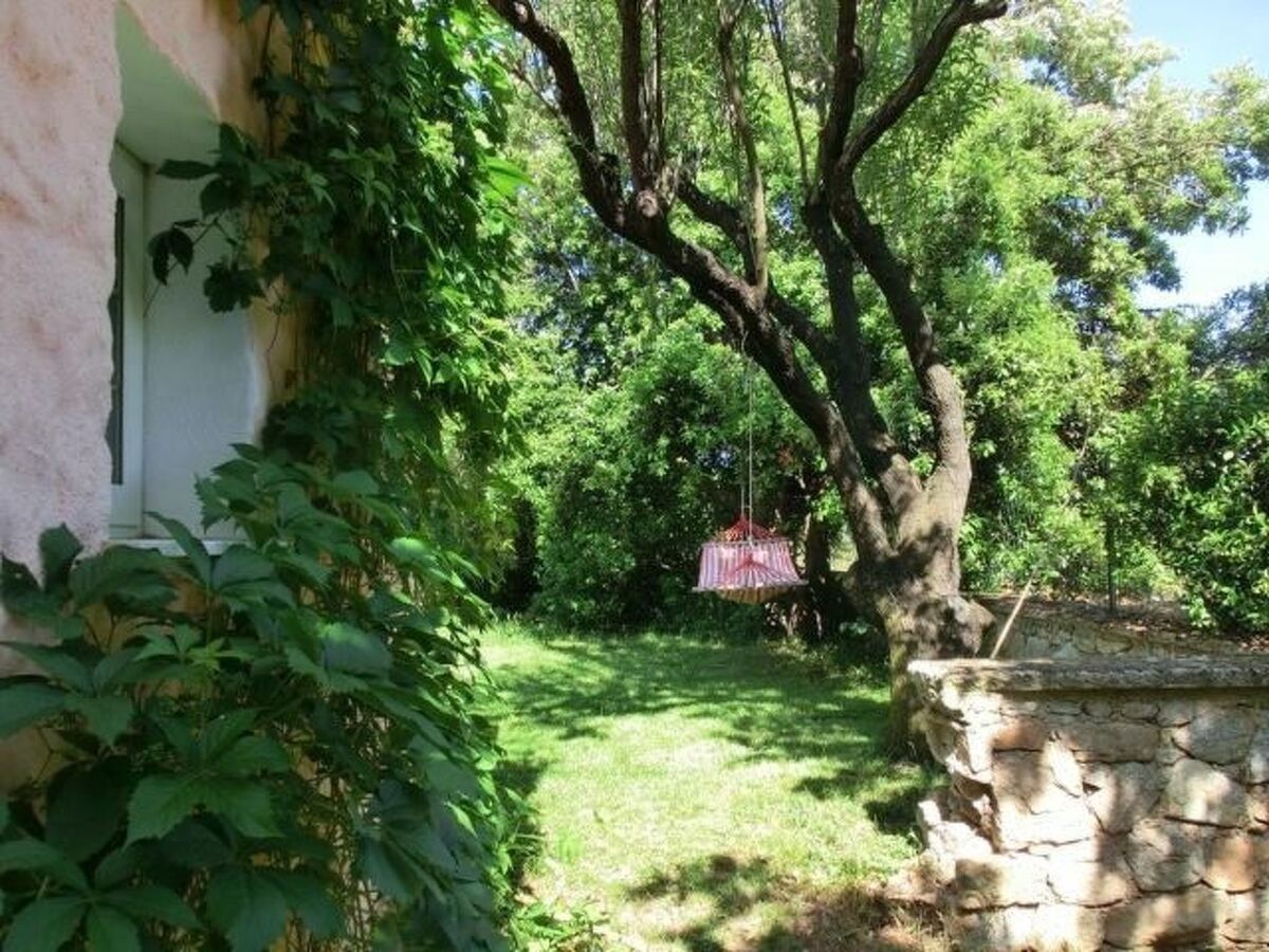 Maison 3 chambres avec piscine à Bassacutena - Photo 5