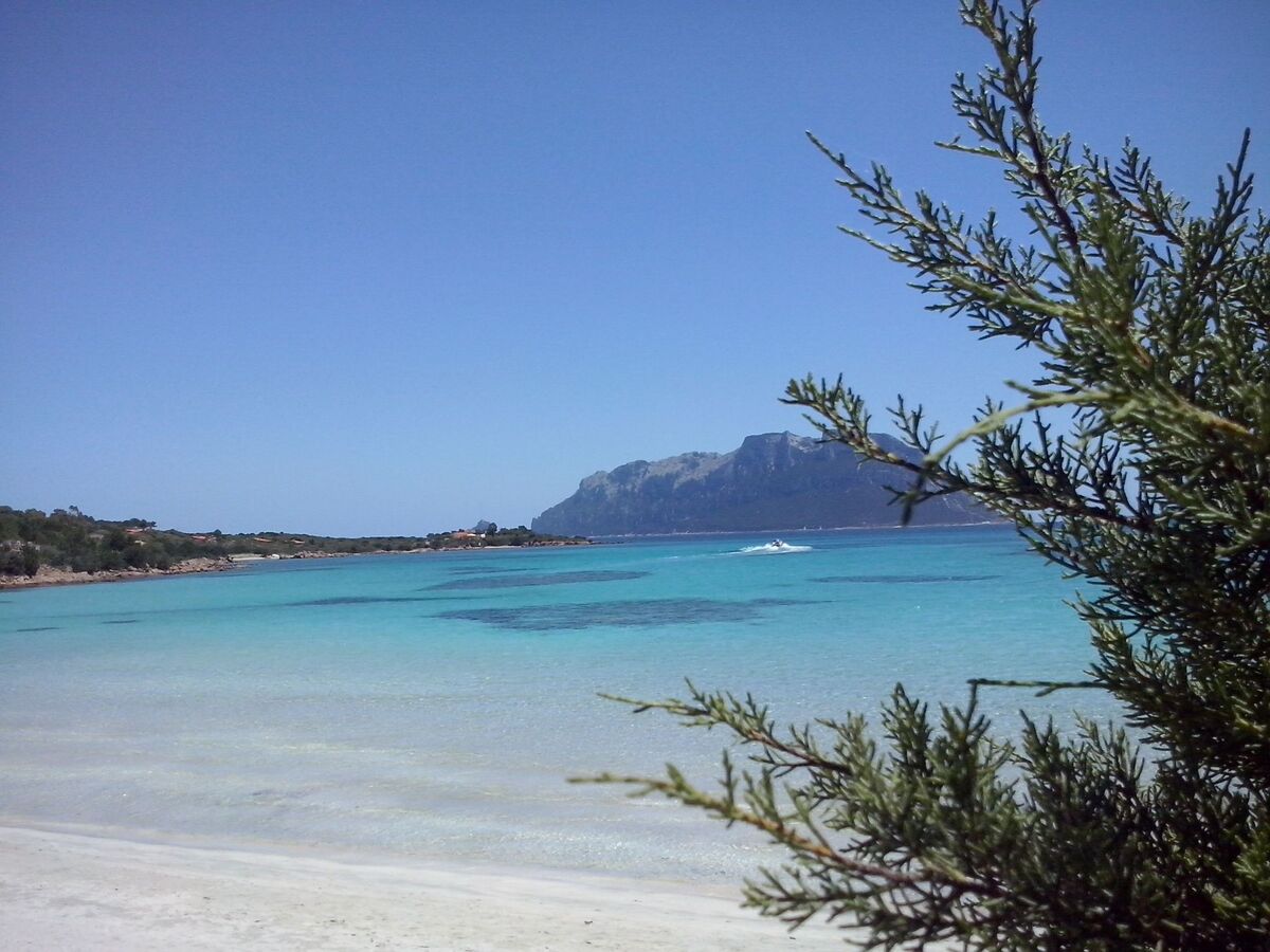 Chambre 3 personnes à Porto San Paolo, Sardaigne - Photo 14