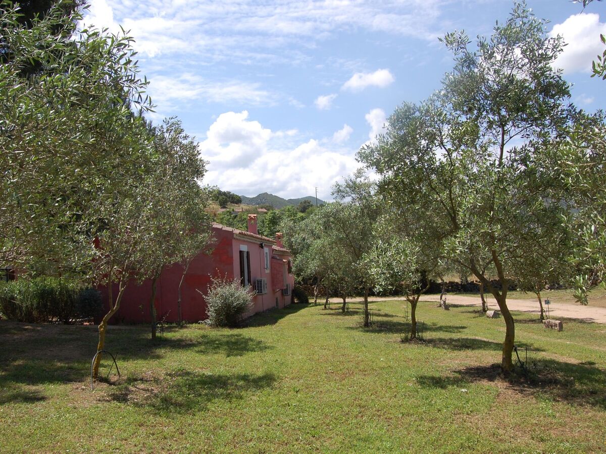 Studio avec piscine à Porto San Paolo, Sardaigne - Photo 7
