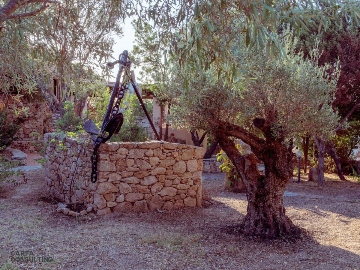 Studio avec jardin 250m² et grill à Agrustos - Photo 20