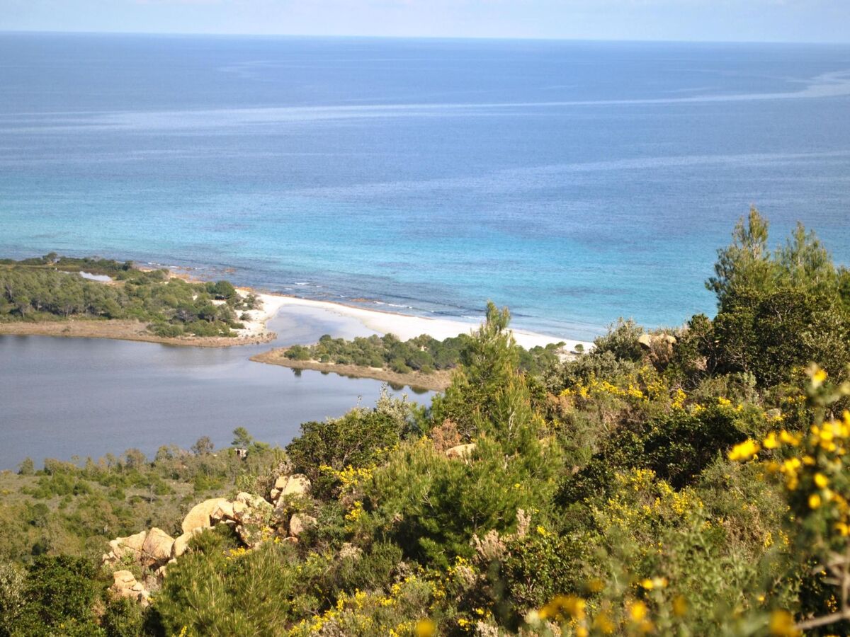 Smeralda – Appartement 1 chambre à Cala Liberotto - Photo 27