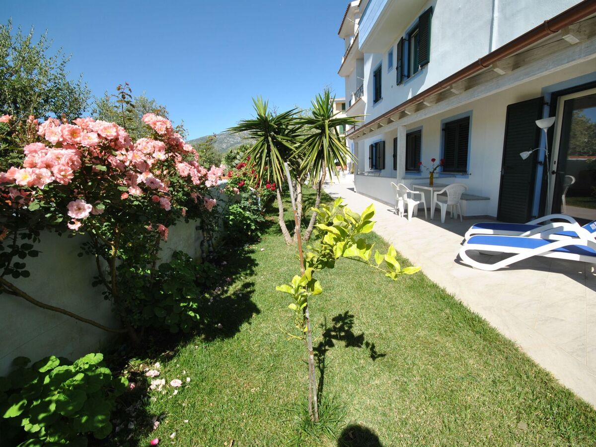 Appartement Mirto, terrasse vue oliveraie à Cala Liberotto - Photo 6