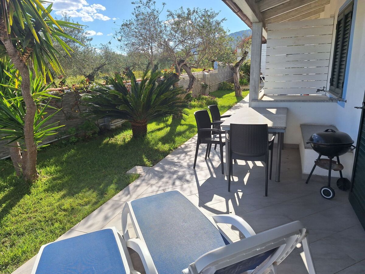 Appartement Mirto, terrasse vue oliveraie à Cala Liberotto - Photo 24