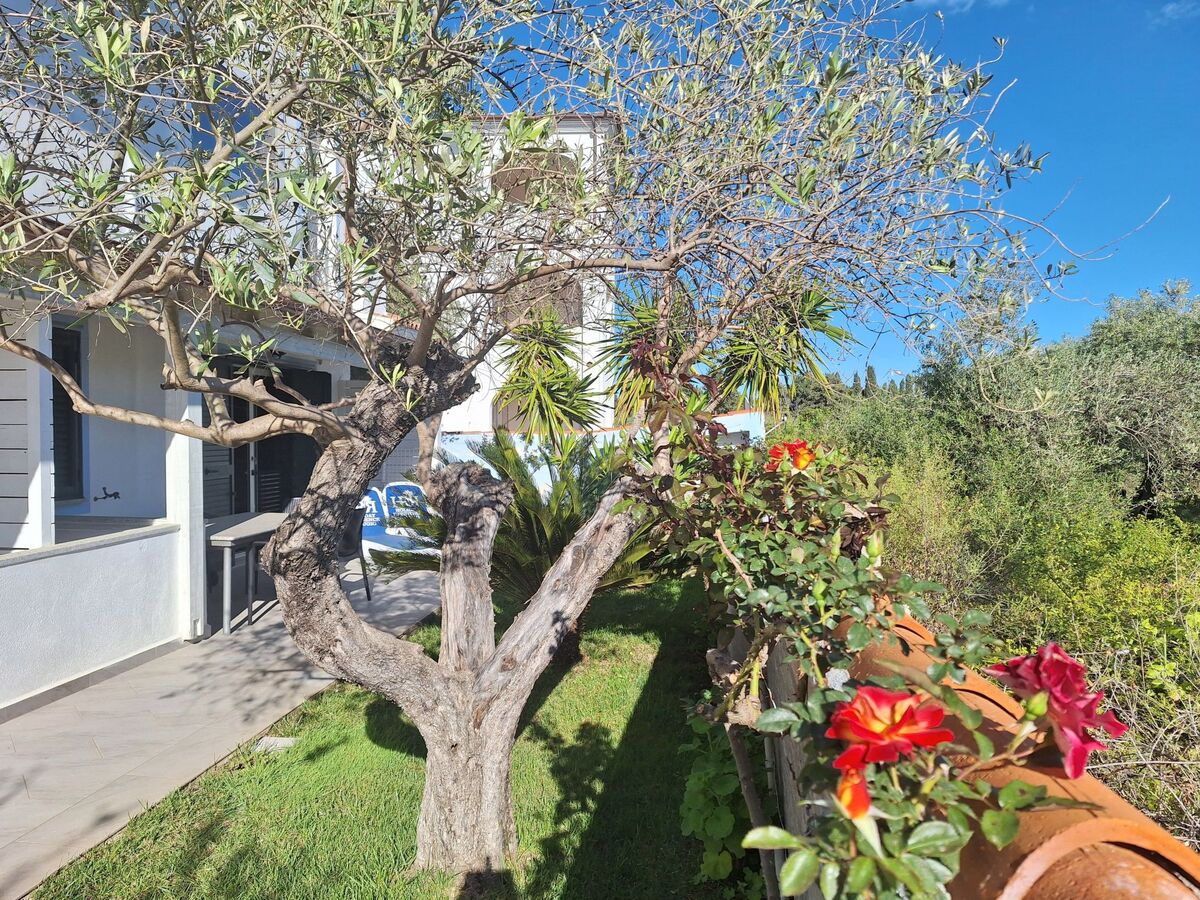 Appartement Mirto, terrasse vue oliveraie à Cala Liberotto - Photo 26