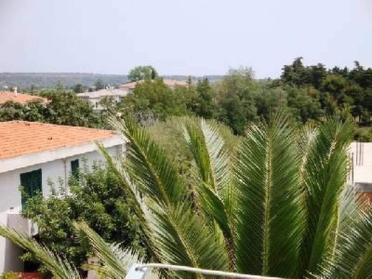 Agave, appartement 3 pers. à Cala Liberotto - Photo 13