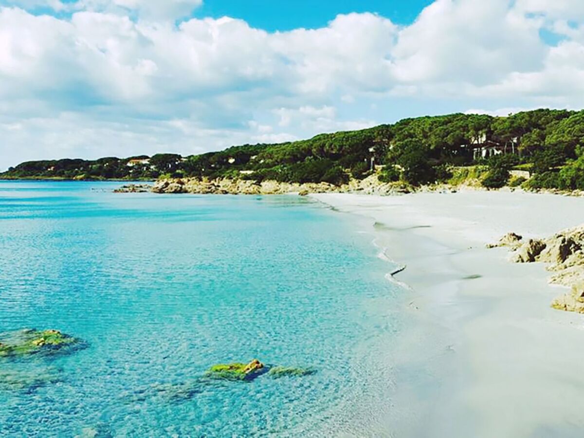 Appartement 4 pers. vue mer à 50 m de la plage, Cala Liberotto - Photo 3