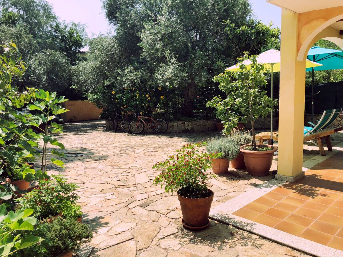 Appartement 4 pers. vue mer à 50 m de la plage, Cala Liberotto - Photo 21