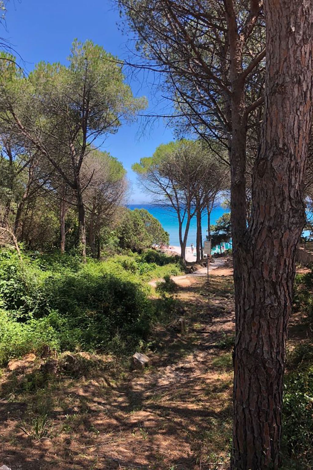Appartement 4 pers. vue mer à 50 m de la plage, Cala Liberotto - Photo 29