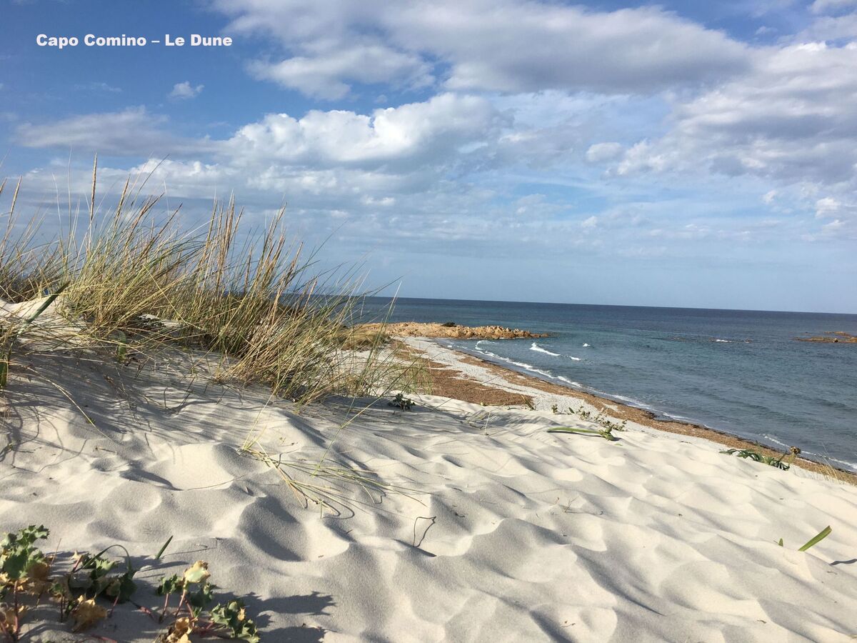 Appartement 4 pers. vue mer à 50 m de la plage, Cala Liberotto - Photo 33