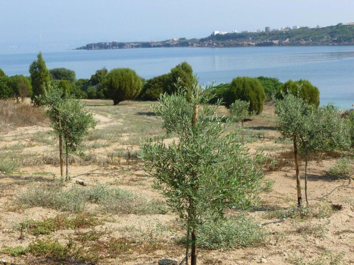 Appartement Calasetta, accès direct plage et vue mer - Photo 34