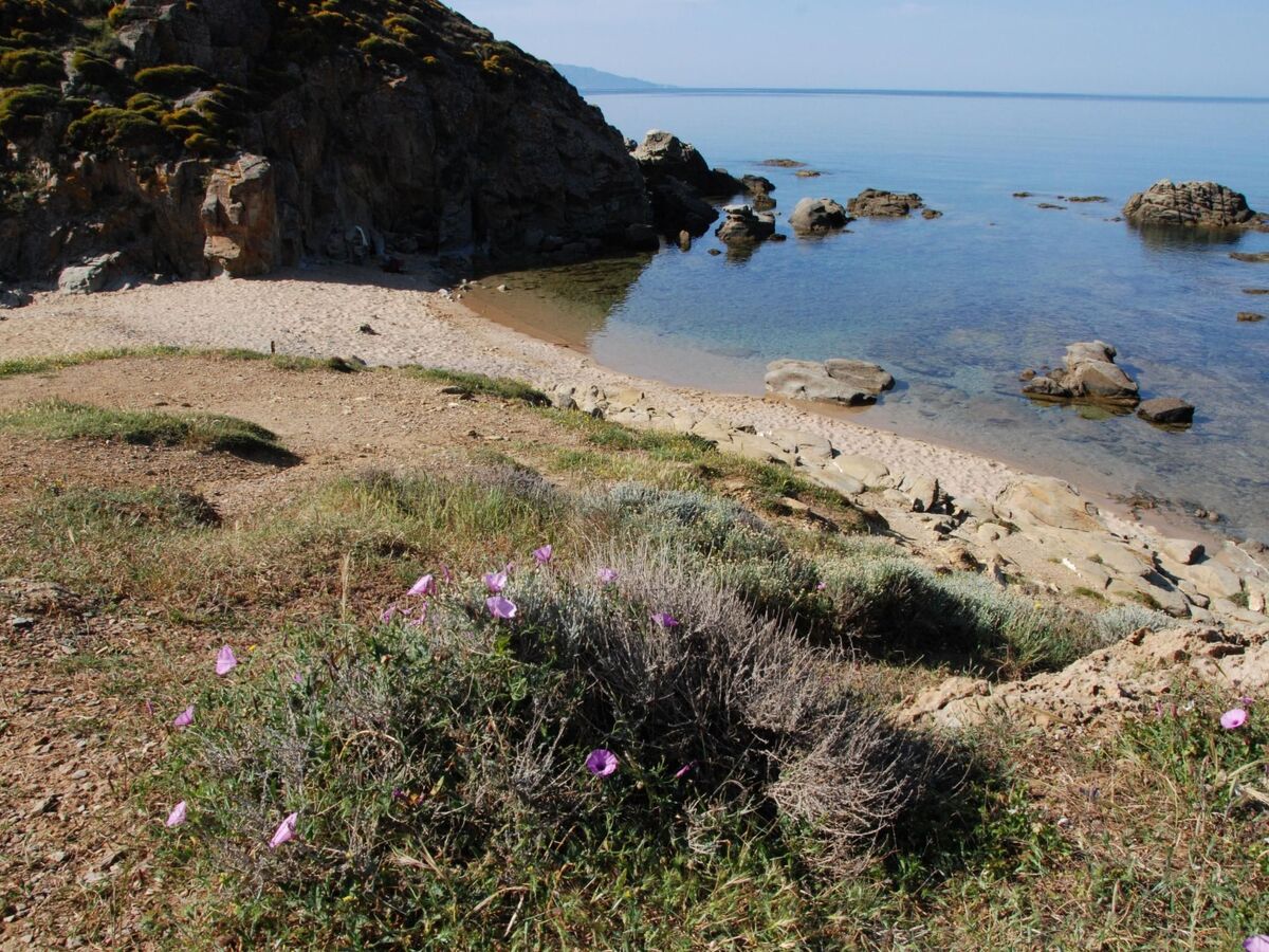 Maison 2 chambres à 120 m de la plage de Torre dei Corsari - Photo 17