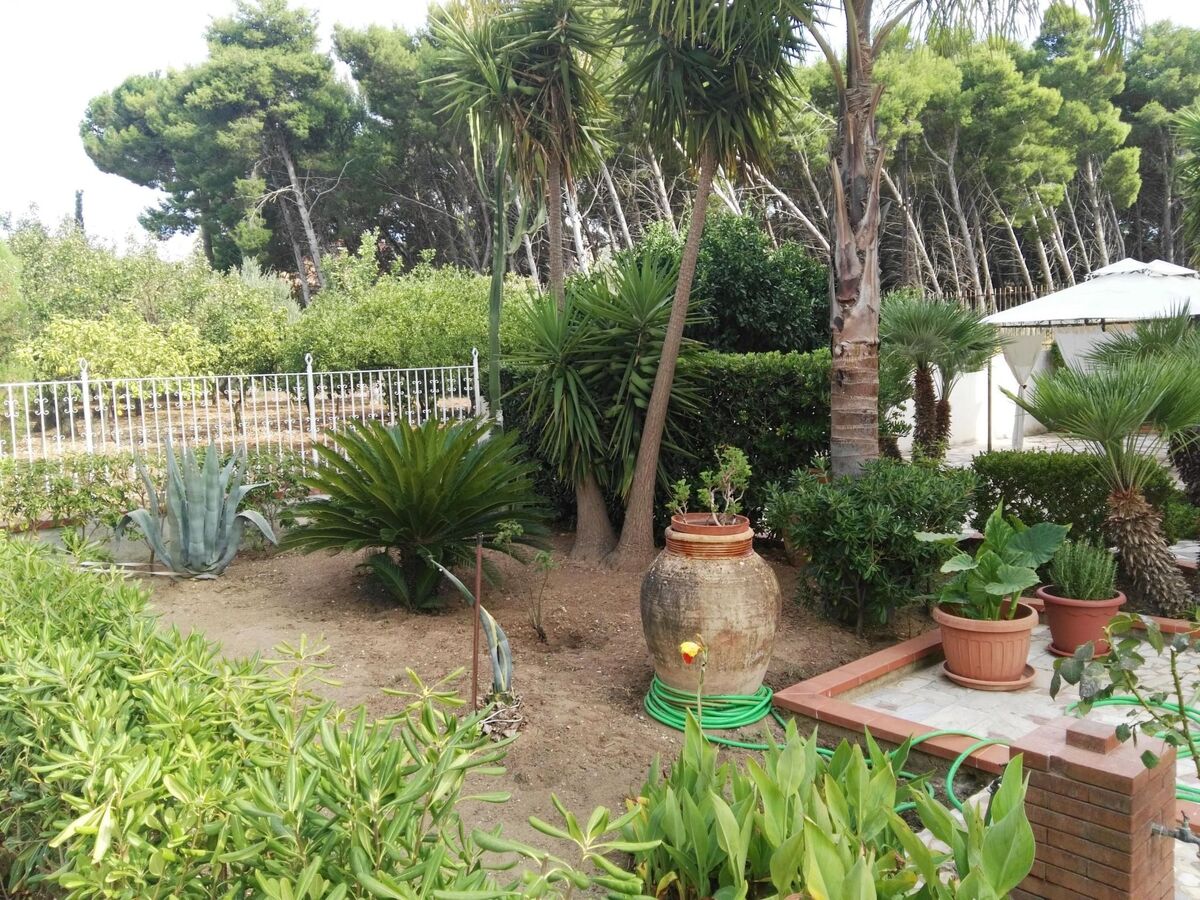 Appartement Villa Alba, 3 chambres près des plages de Castellammare - Photo 12