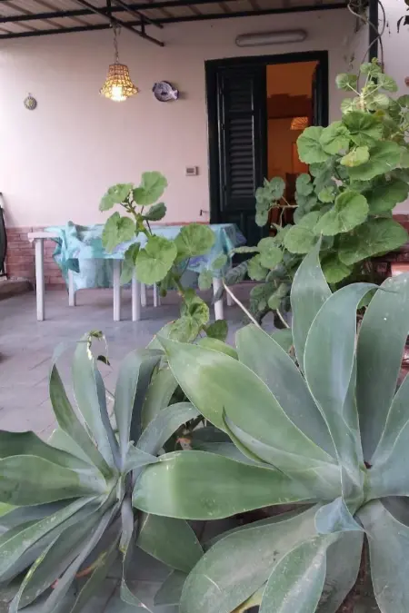 Appartement 4 pers. vue mer à Castellammare del Golfo : photo 17