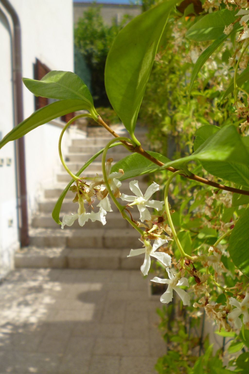 Appartement Custonaci, 6 pers., jardin clos et terrasse - Photo 2