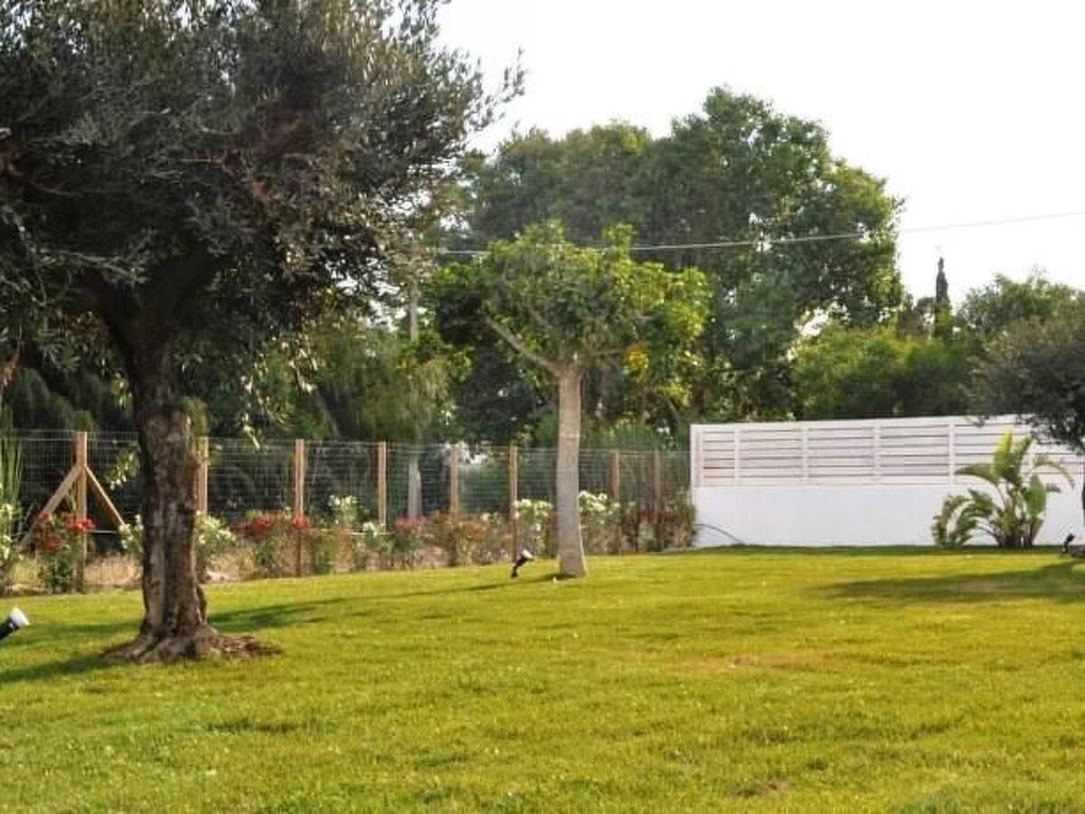 Mare e Dune – Maison 4 pers. à 200 m de plage - Photo 9