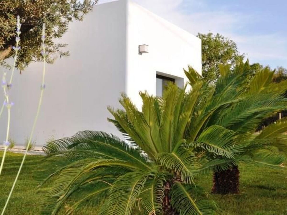 Mare e Dune – Maison 4 pers. à 200 m de plage - Photo 16