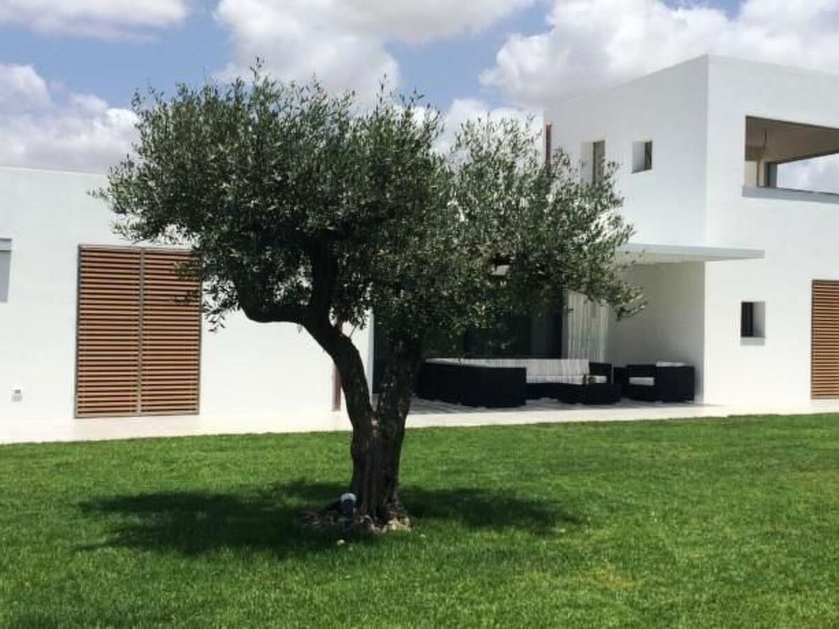 Mare e Dune – Maison 4 pers. à 200 m de plage - Photo 23