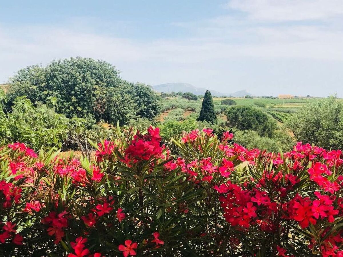 Casa delle Rose à Menfi : 6 pers, vignes et mer - Photo 19