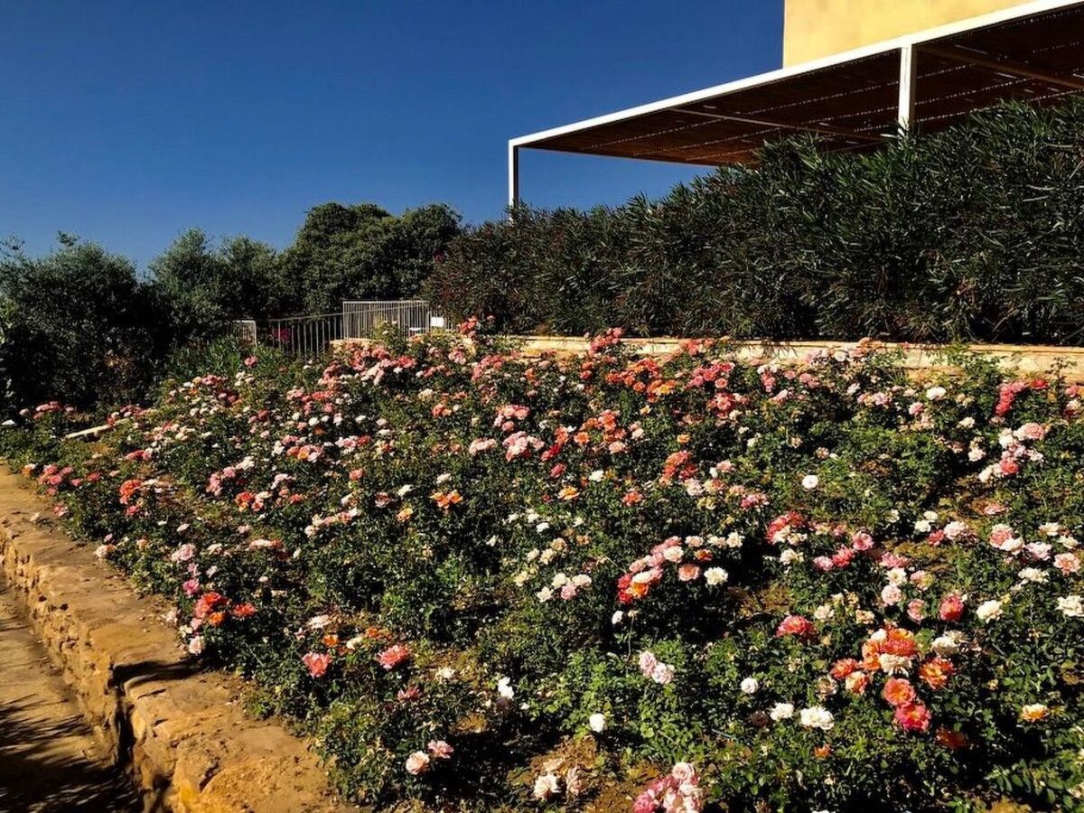 Casa delle Rose à Menfi : 6 pers, vignes et mer - Photo 25
