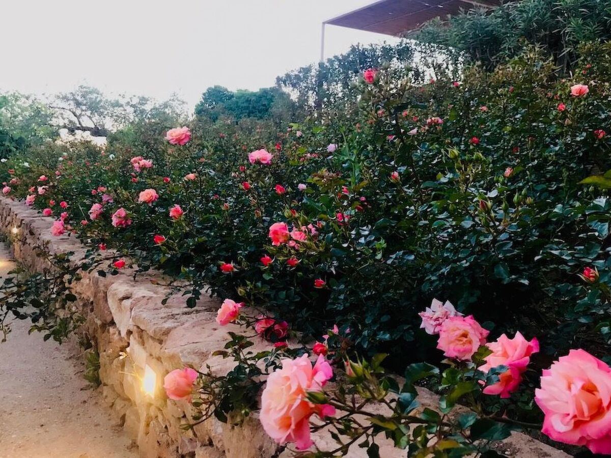 Casa delle Rose à Menfi : 6 pers, vignes et mer - Photo 26