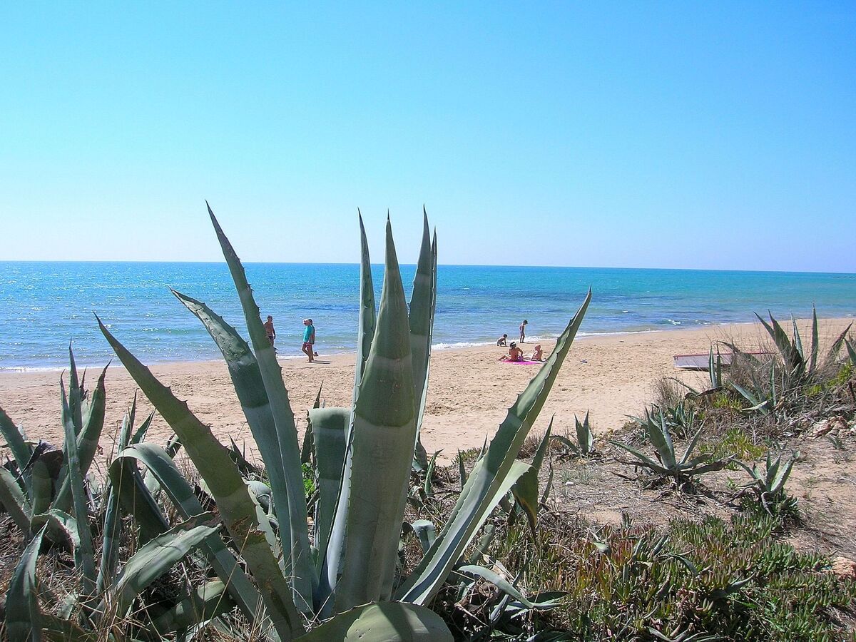 Appartement Sole, 100 m de la plage à Punta Secca - Photo 40
