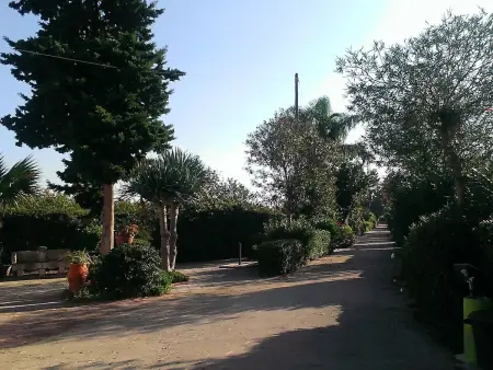 Maison sicilienne 12 pers, piscine et 7 hectares à Fontane Bianche : photo 32
