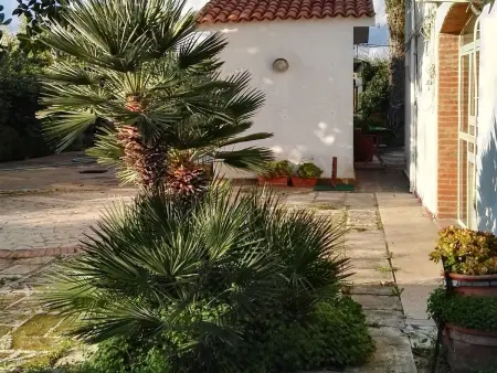 Maison sicilienne 12 pers, piscine et 7 hectares à Fontane Bianche : photo 43
