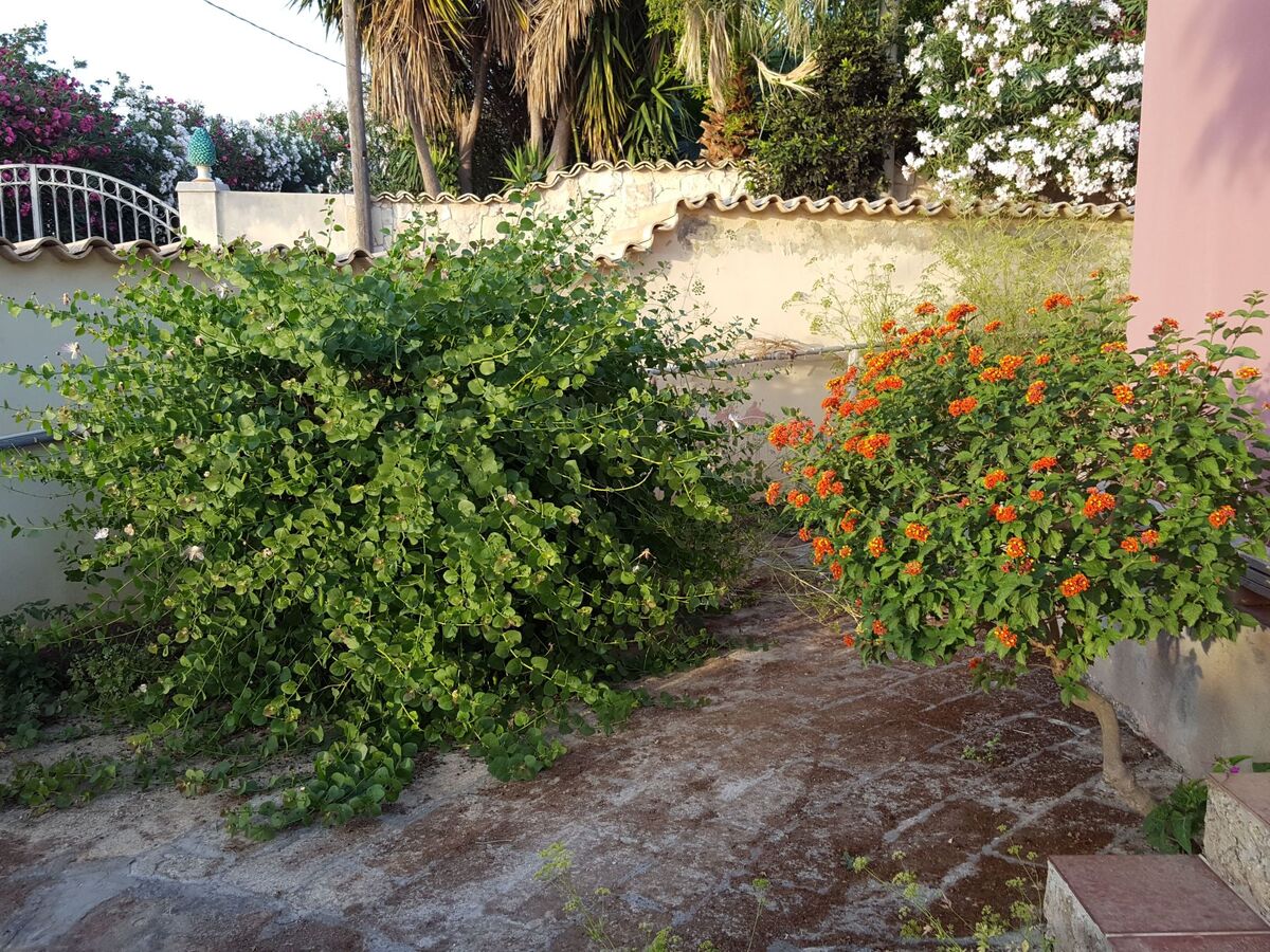 Maison Mirko à Fontane Bianche, 200m de la mer - Photo 38