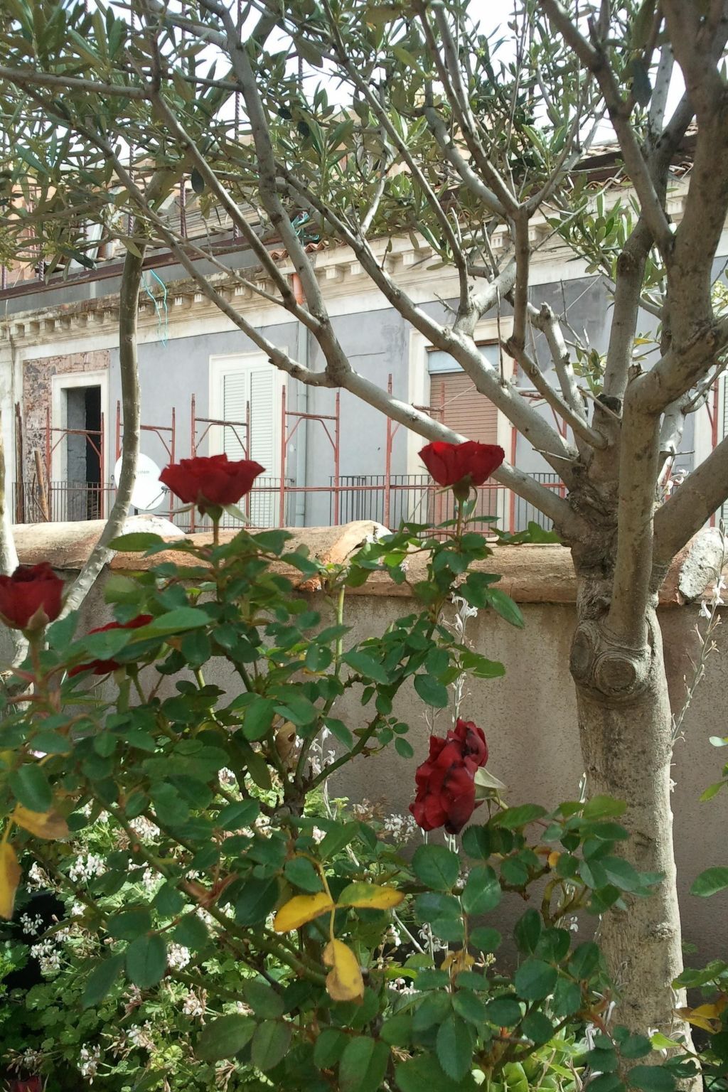 Appartement 5 pers. avec balcon, centre historique Catania - Photo 23