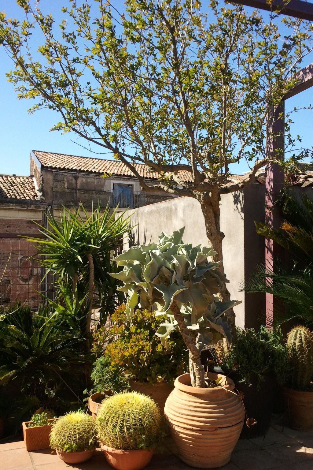 Appartement 5 pers. avec balcon, centre historique Catania - Photo 25