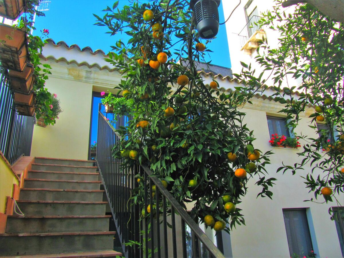 Lemon Court - Demeure sicilienne 16 pers à Acireale - Photo 7