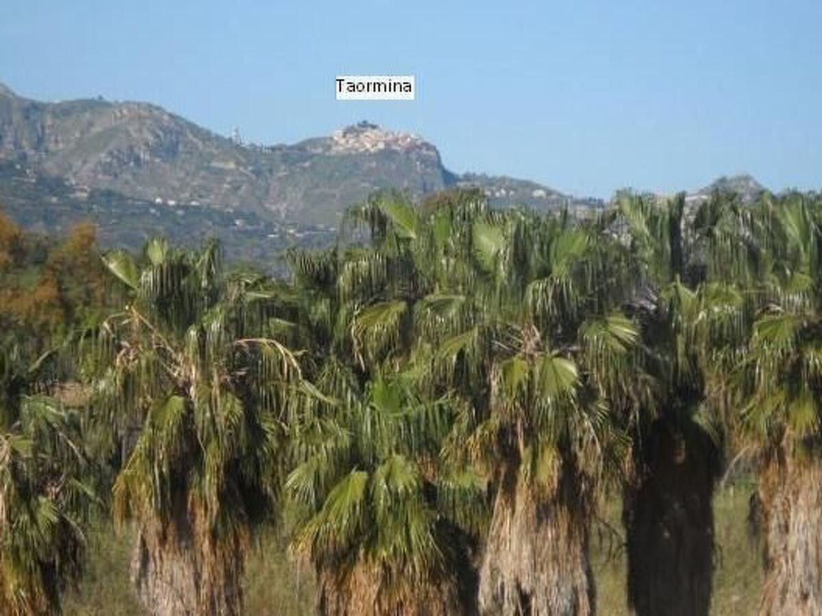 Appartement 4 pers. avec jardin vue Etna à Fiumefreddo - Photo 28