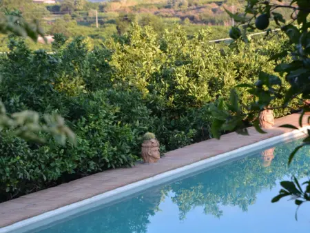 Mandarin  mit Wasserblick, Maison 4 personnes à Fiumefreddo - Photo 6