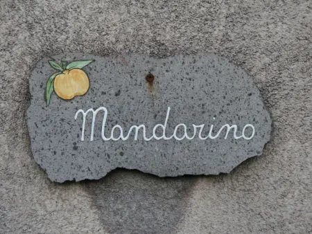 Mandarin  mit Wasserblick, Maison 4 personnes à Fiumefreddo - Photo 16