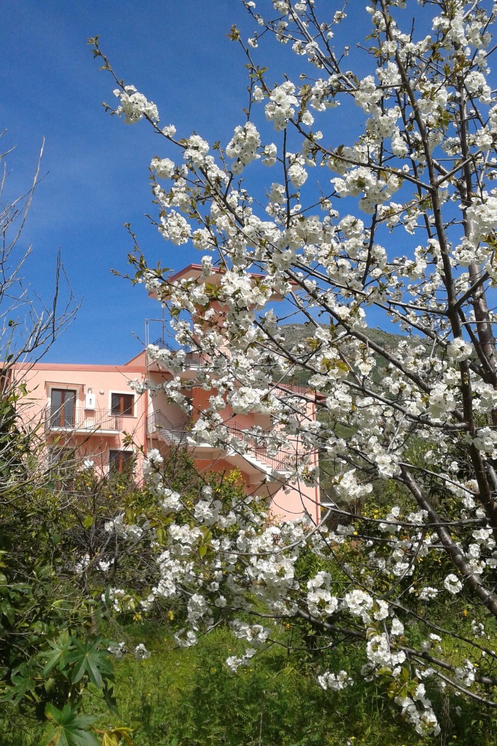Appartement Letojanni avec terrasse et vue mer - Photo 16
