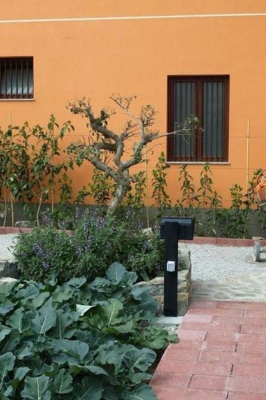 Casa Gatto Nero – Appartement 6 pers. à 30 m de la plage - Photo 10