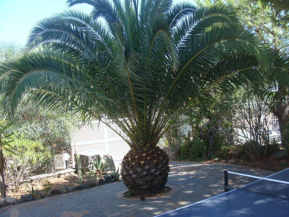 Villa Noir – Maison 4 pers. à Vulcano, jardin 1000 m² - Photo 31