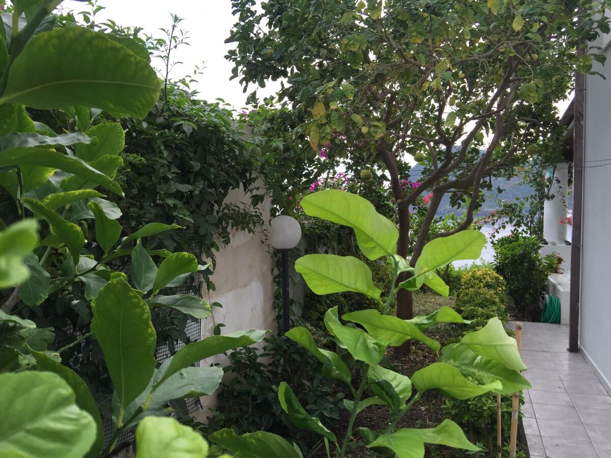 Appartement 3 pers. à Lipari, terrasse mer à Canneto - Photo 13