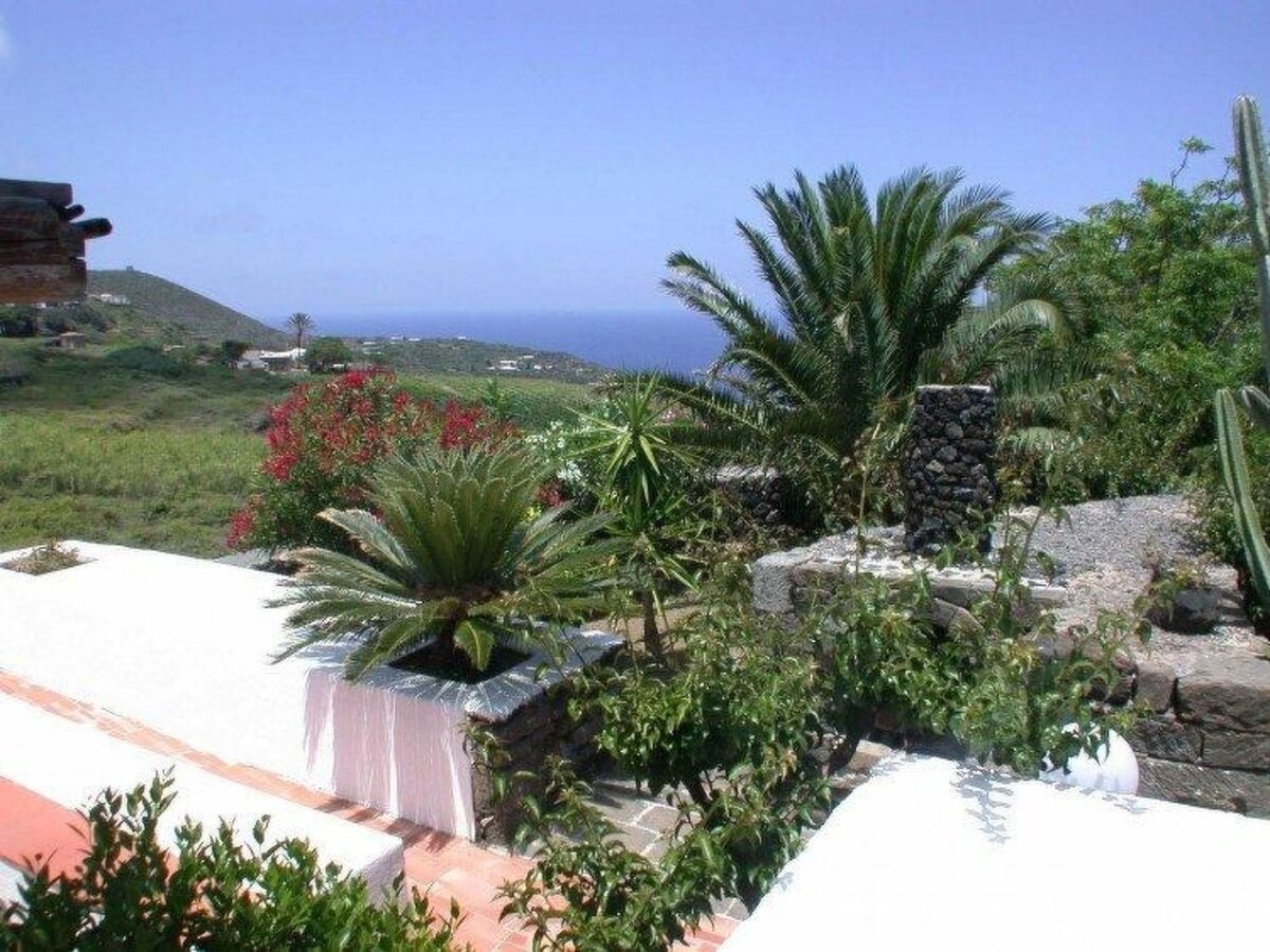 Dammuso Gardenia, maison typique à Pantelleria - Photo 16