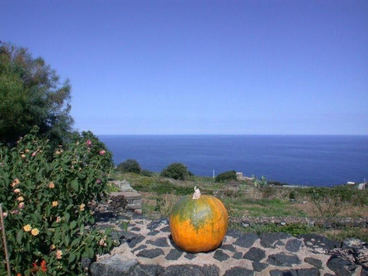 Alba9 – Appartement Pantelleria, vue mer et terrasse - Photo 16