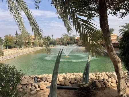 Maison avec piscine et jardin privatif à Marrakech, palmeraie : photo 6