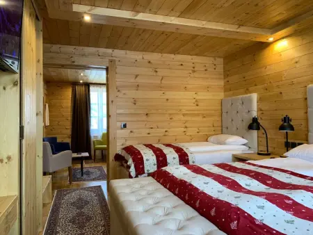 Location appartement à Kolasin, Die Ski-Suite hat ein Schlafzimmer und ein kleines Wohnzimmer ohne Küche.