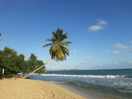Location appartement à Le Marin, Appartment Le Marin mit Meerblick in Top Lage auf Martinique