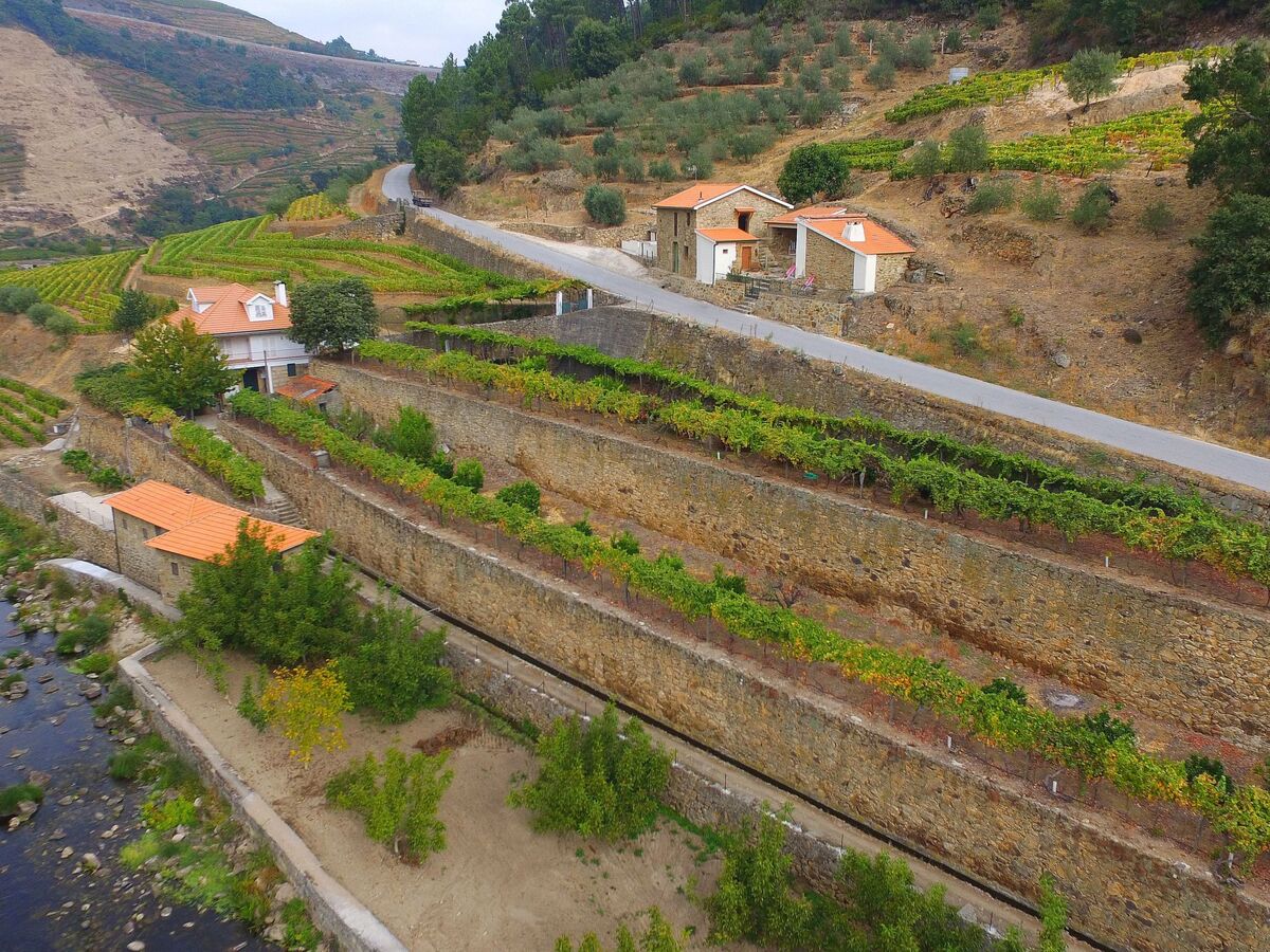 Casa do Moinho : maison romantique au cœur des vignes - Photo 2