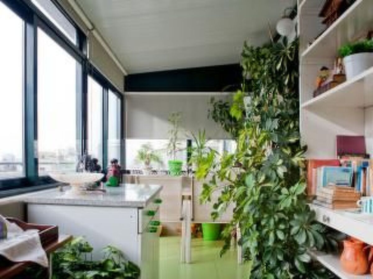 Appartement avec terrasse ensoleillée à 800 m du Douro, Porto - Photo 17